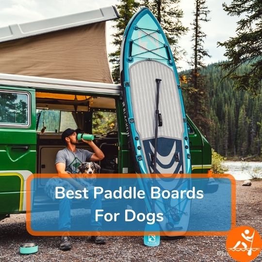 6 Best Paddle Boards For Dogs [2024] Tail Wagging SUP Picks